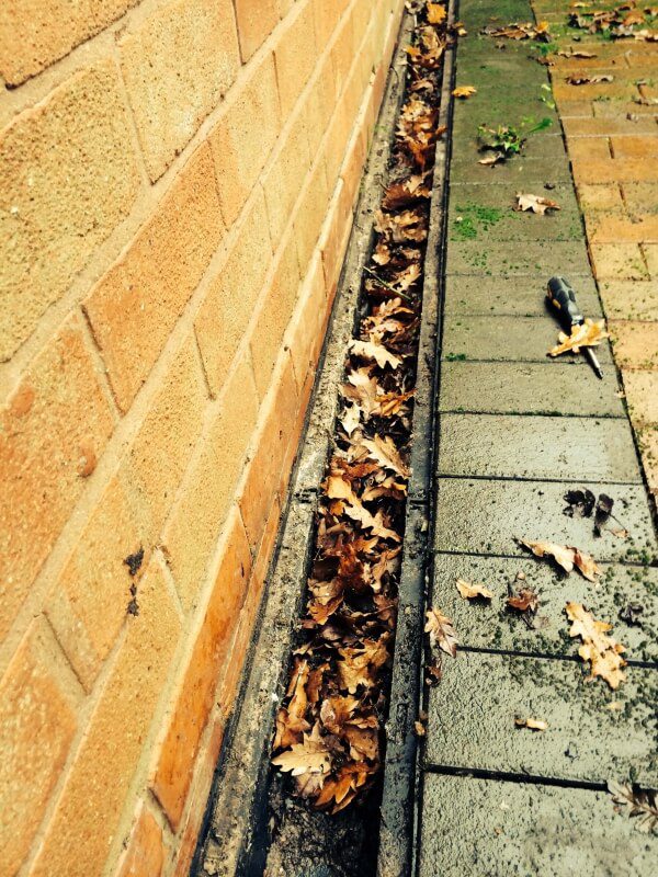 gutter filled with leaves, in need of clearing and cleaning